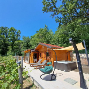 Vineyard house